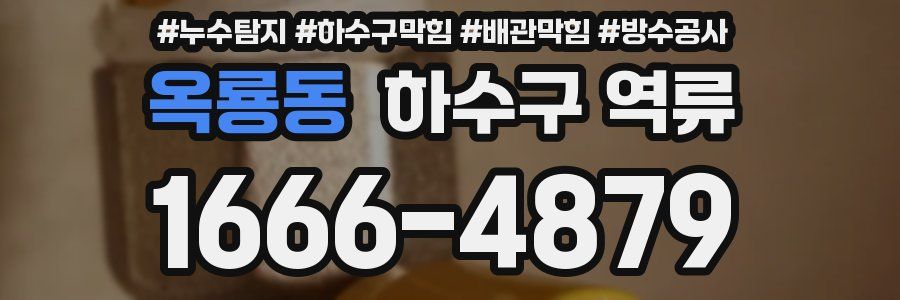 옥룡동 하수구 역류