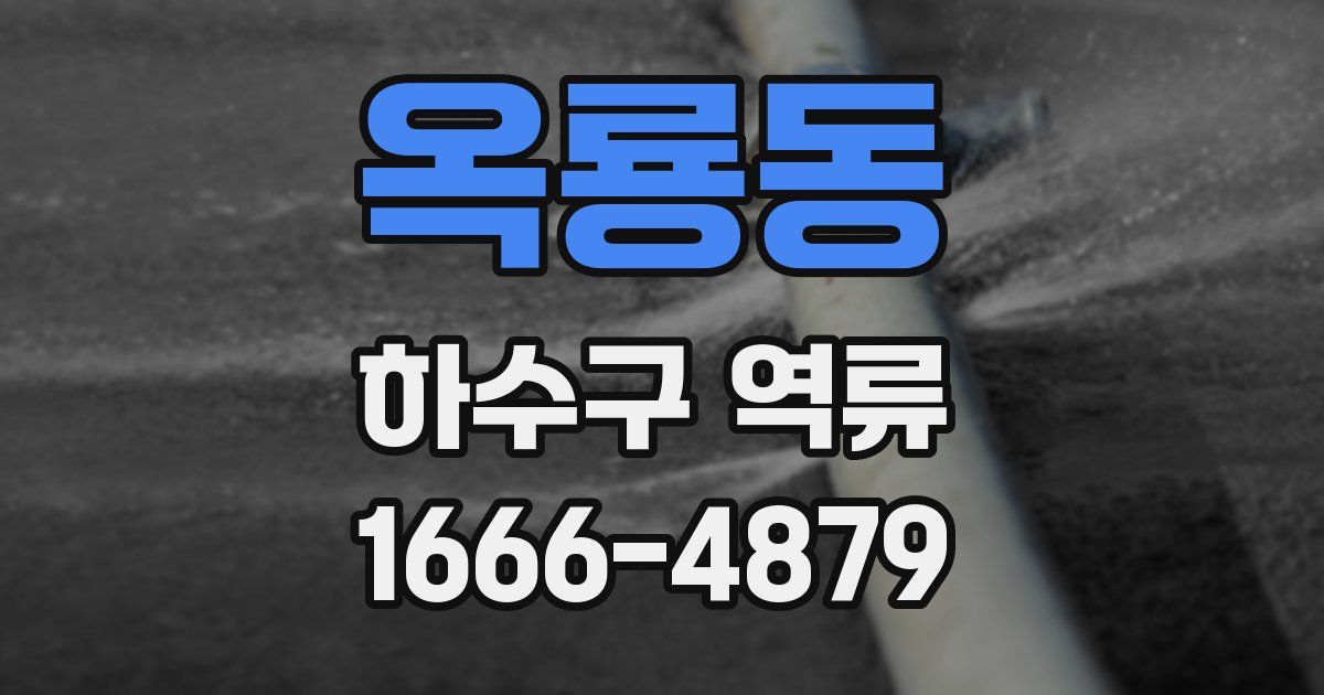 옥룡동 하수구 역류