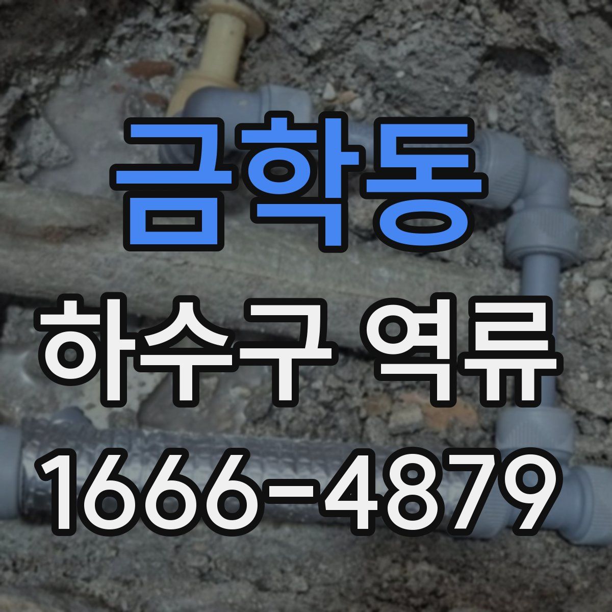 금학동 하수구 역류