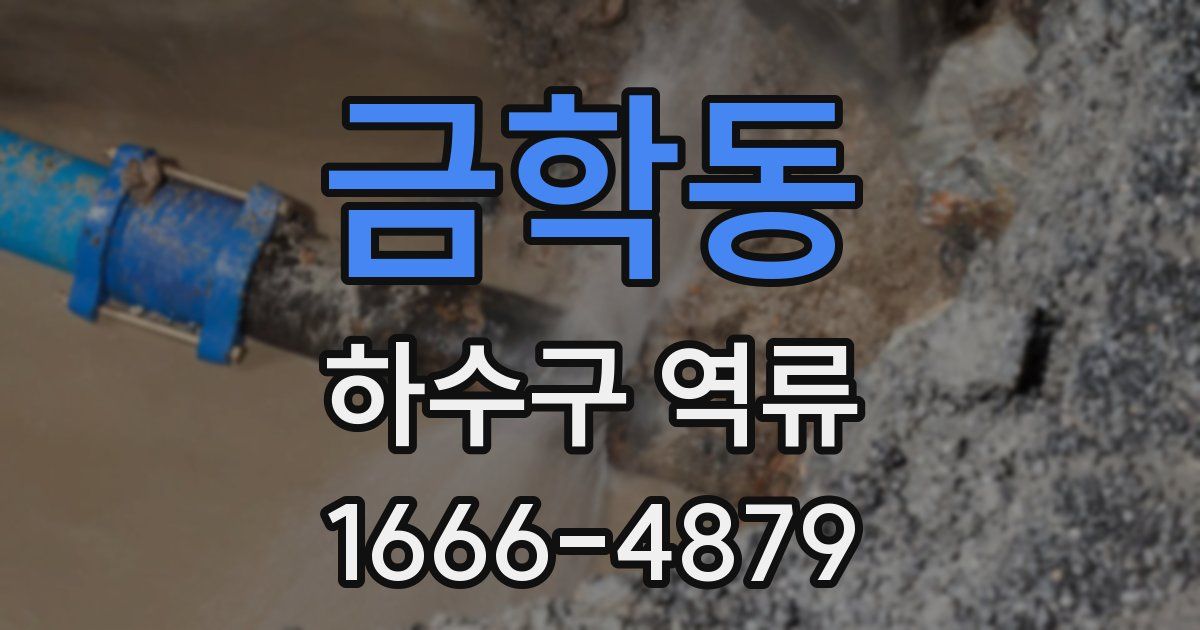 금학동 하수구 역류