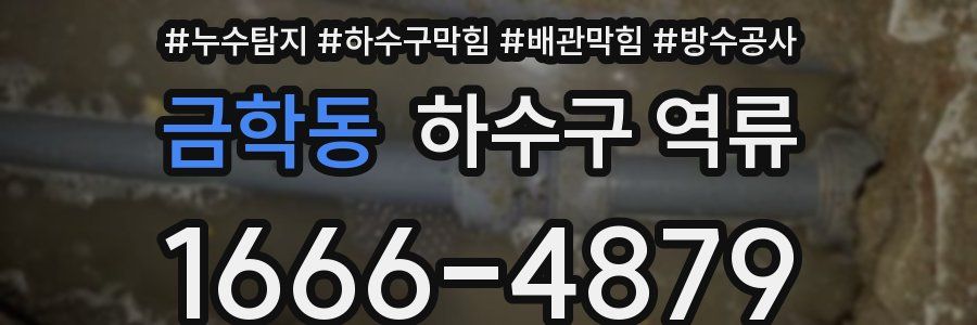 금학동 하수구 역류