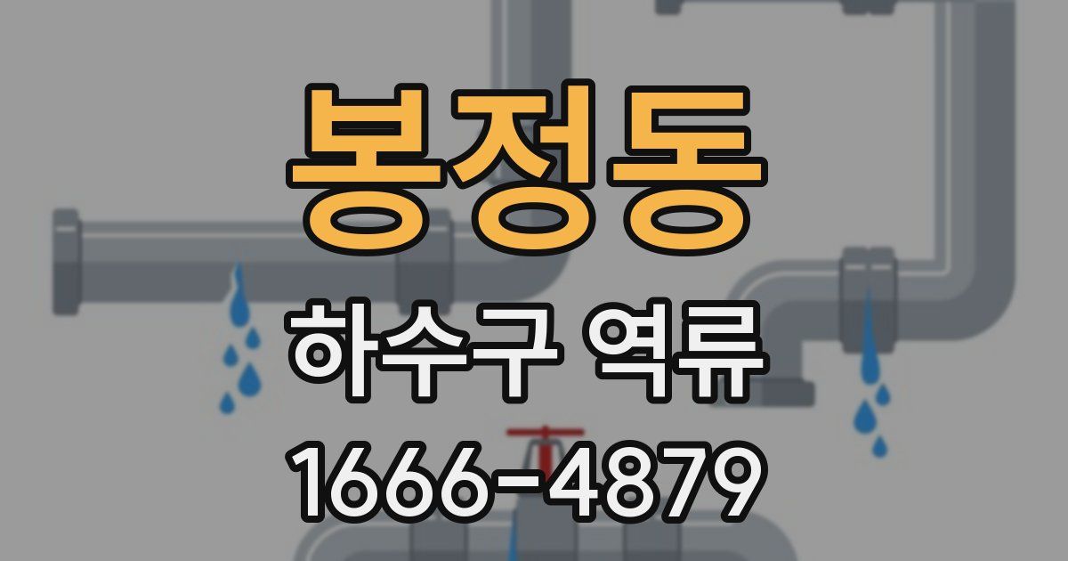 봉정동 하수구 역류