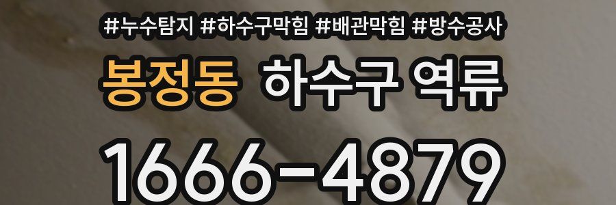 봉정동 하수구 역류