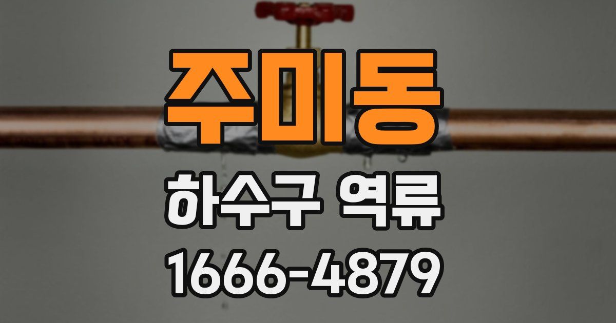 주미동 하수구 역류