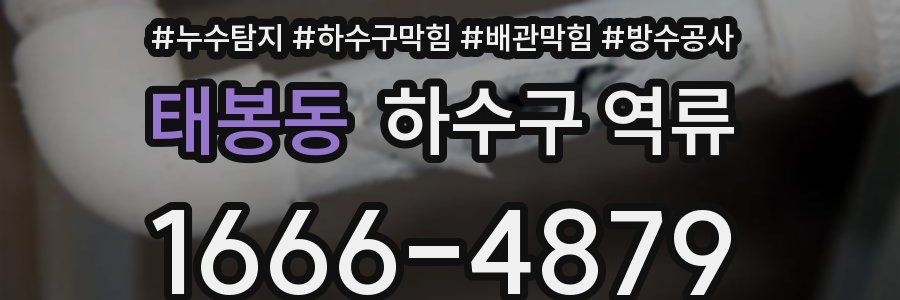 태봉동 하수구 역류