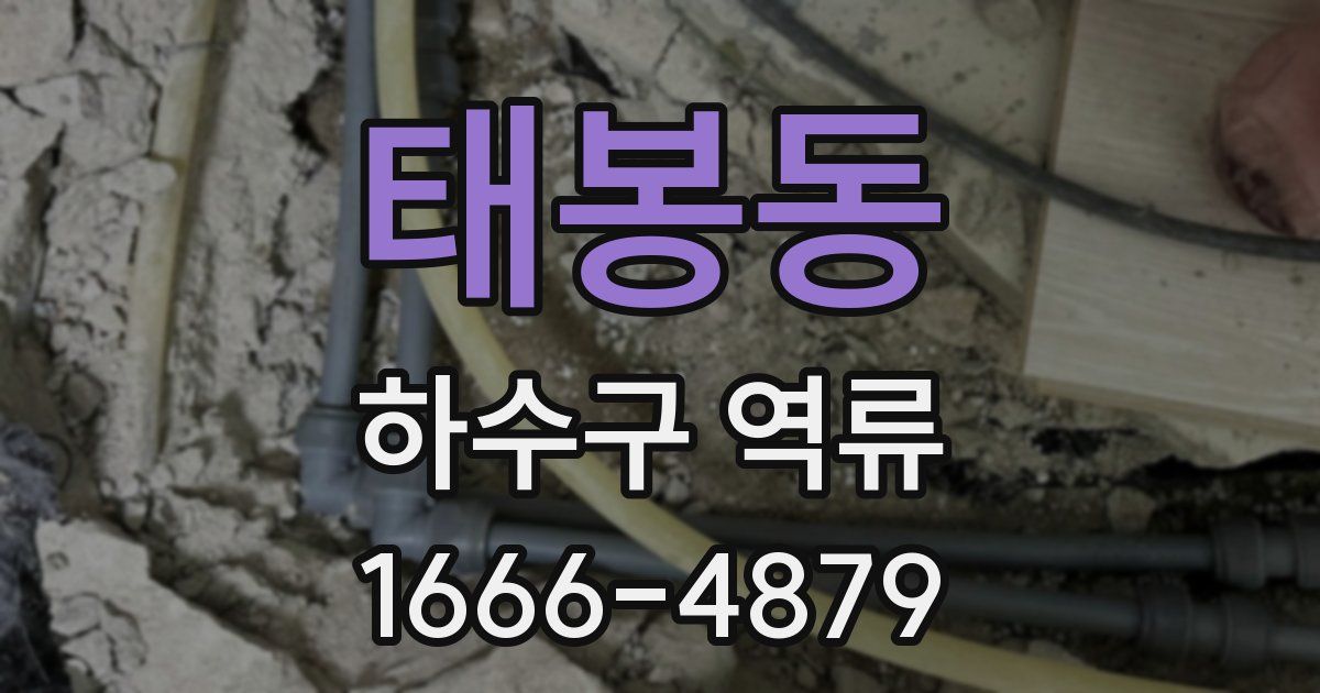 태봉동 하수구 역류