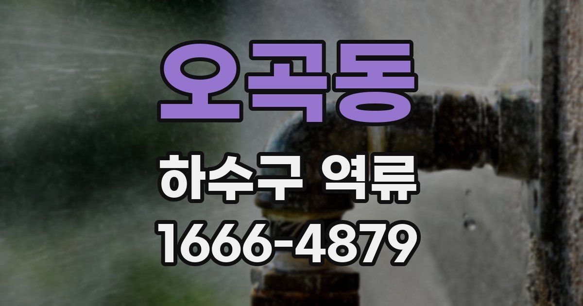 오곡동 하수구 역류