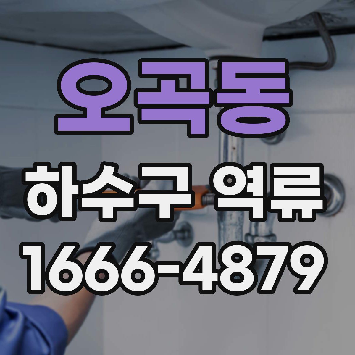 오곡동 하수구 역류