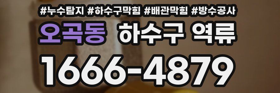 오곡동 하수구 역류