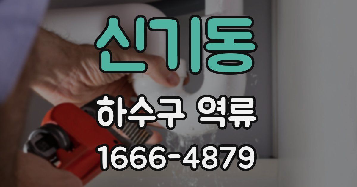 신기동 하수구 역류