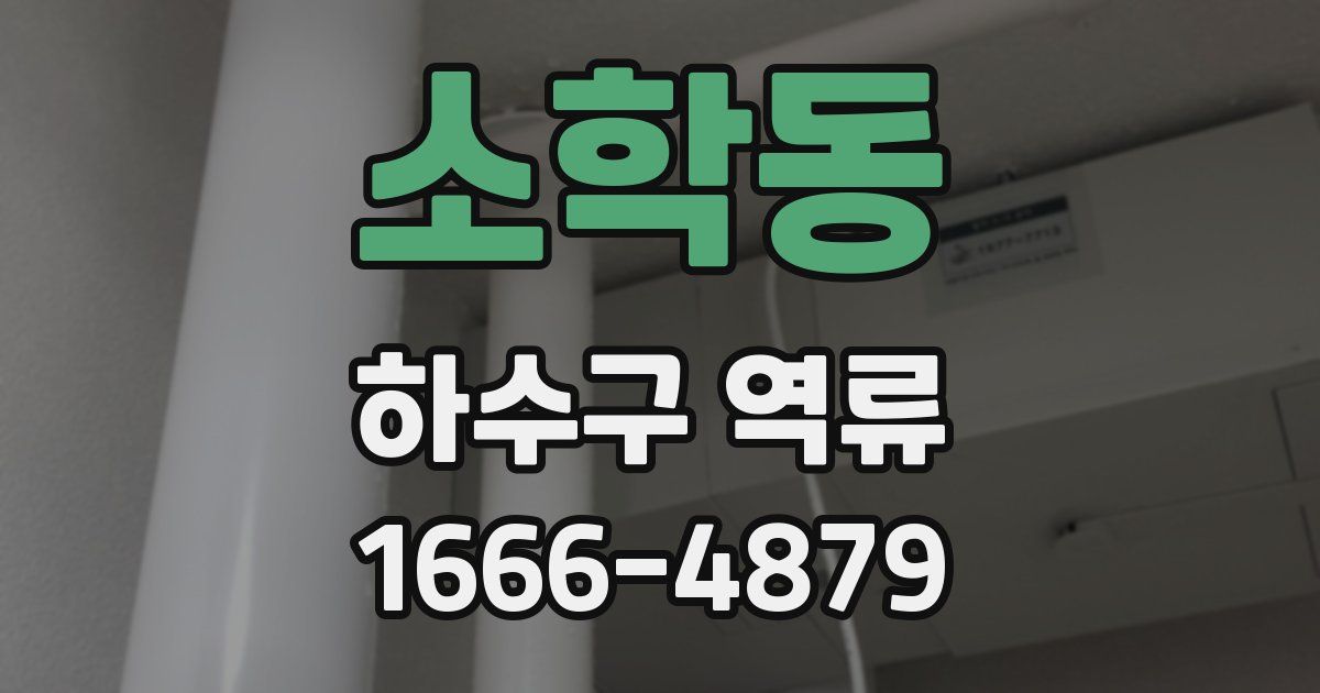 소학동 하수구 역류