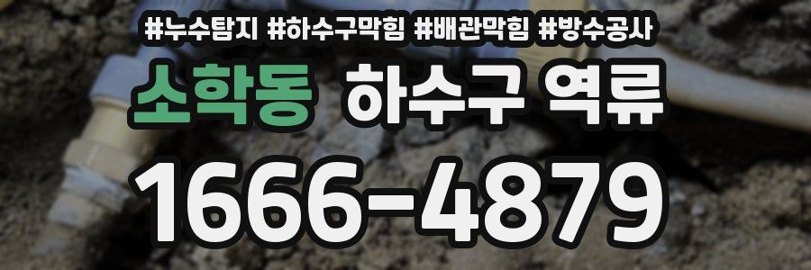 소학동 하수구 역류