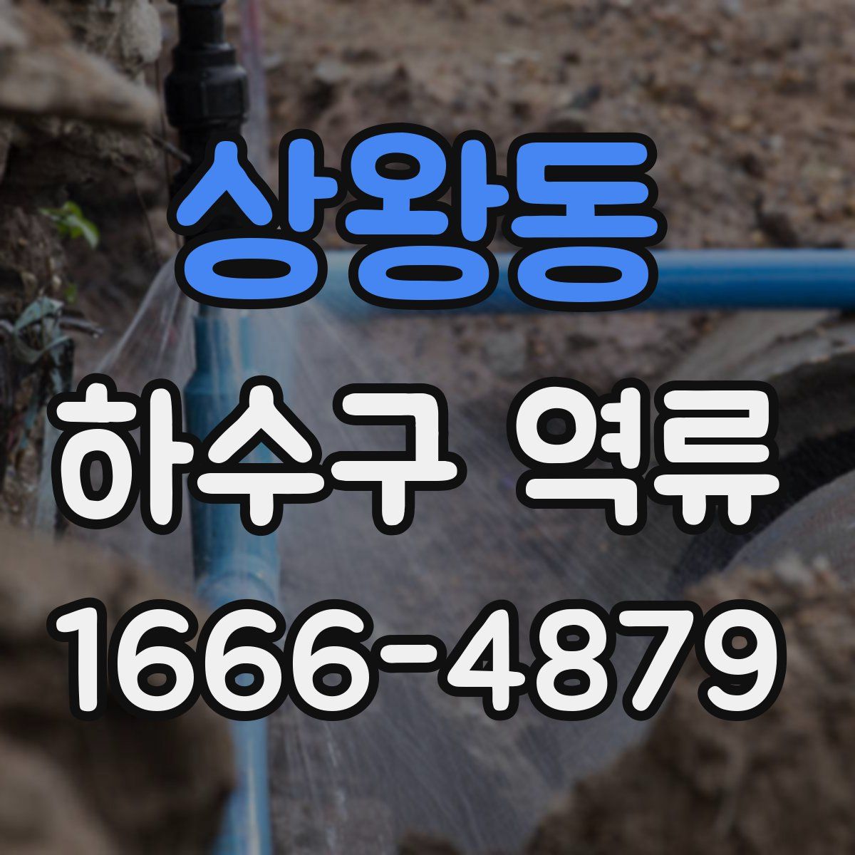 상왕동 하수구 역류
