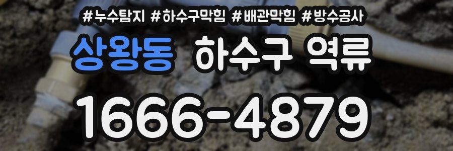 상왕동 하수구 역류