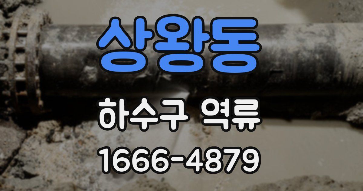 상왕동 하수구 역류