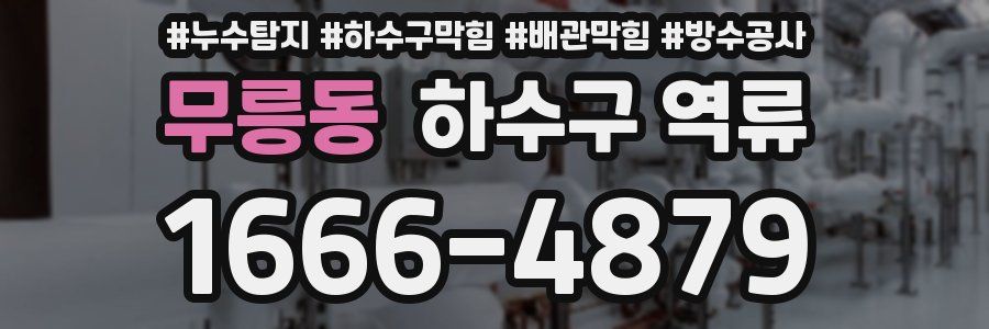 무릉동 하수구 역류