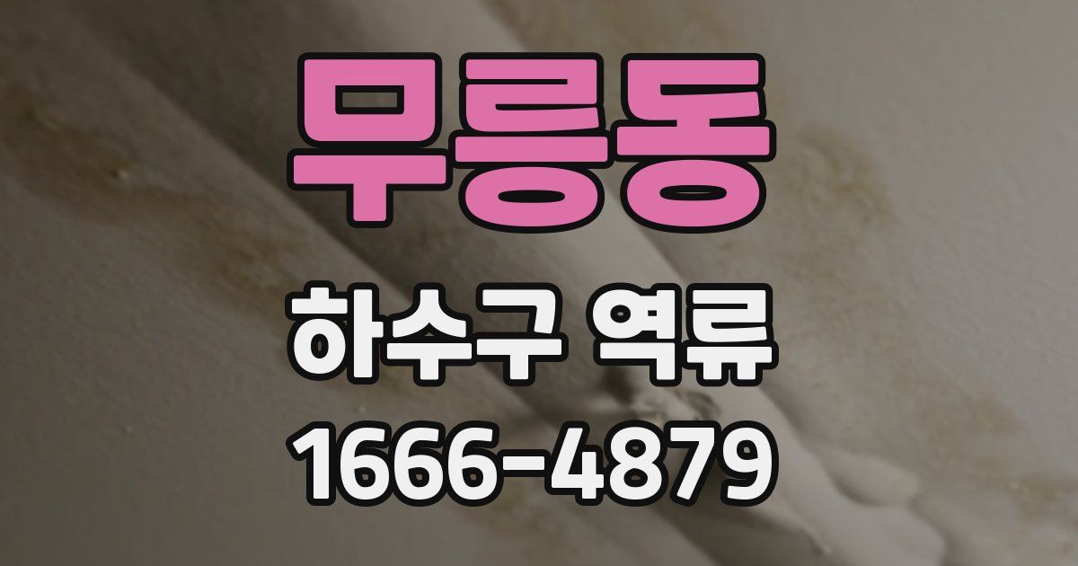 무릉동 하수구 역류