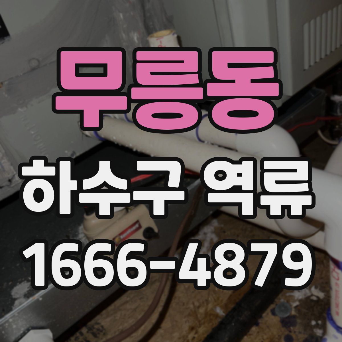 무릉동 하수구 역류