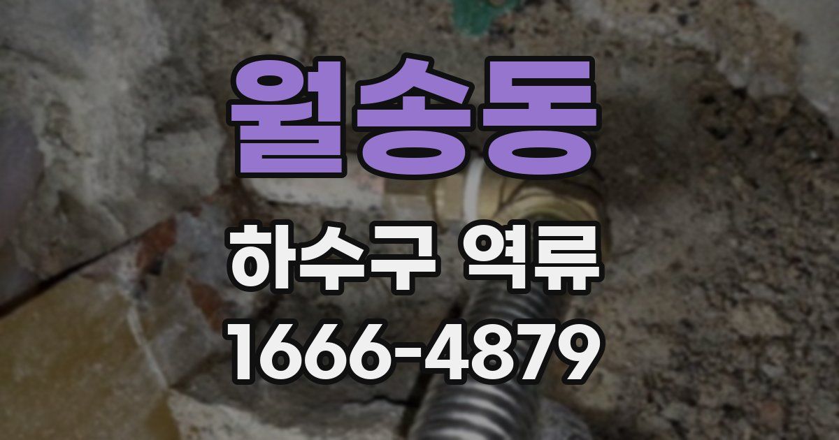 월송동 하수구 역류