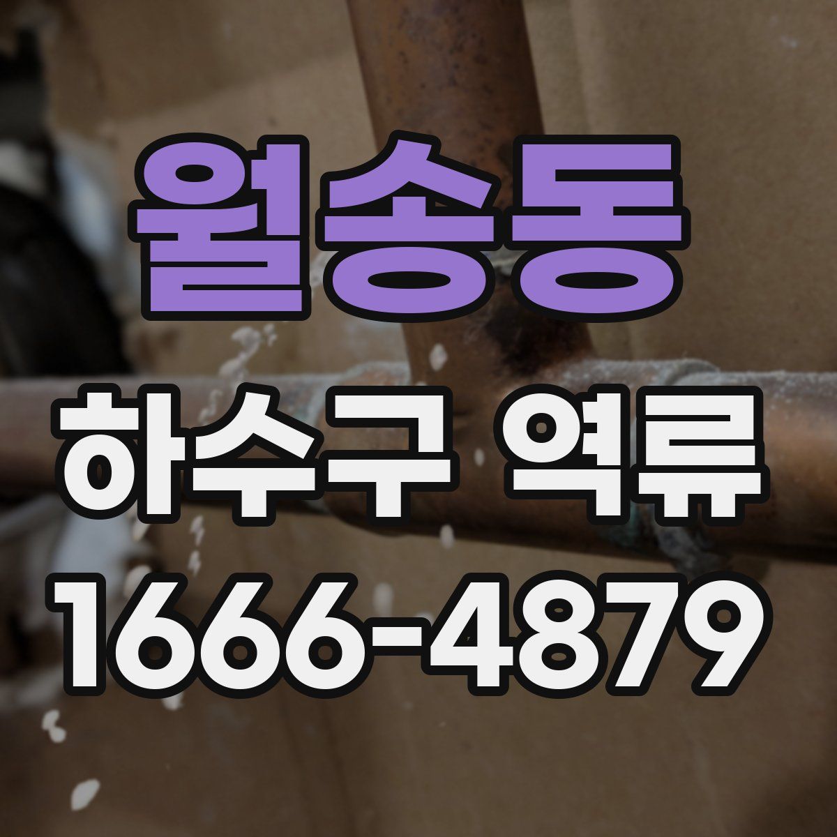 월송동 하수구 역류