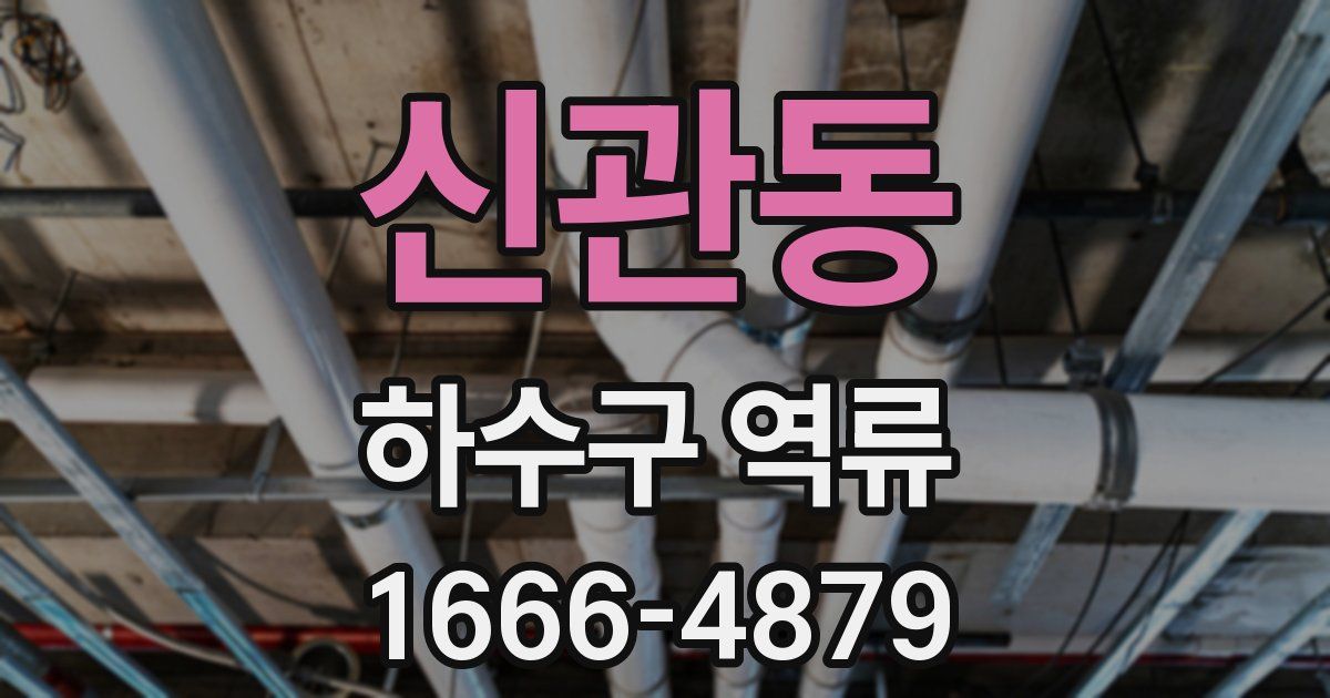 신관동 하수구 역류
