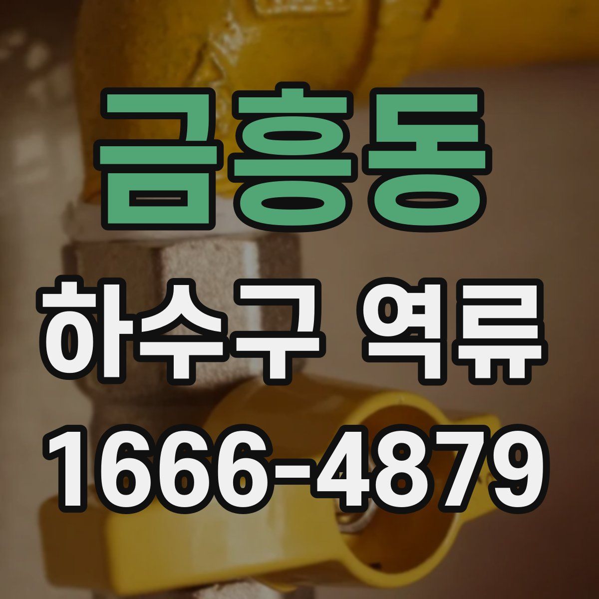 금흥동 하수구 역류