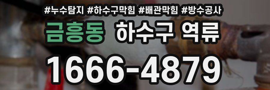 금흥동 하수구 역류