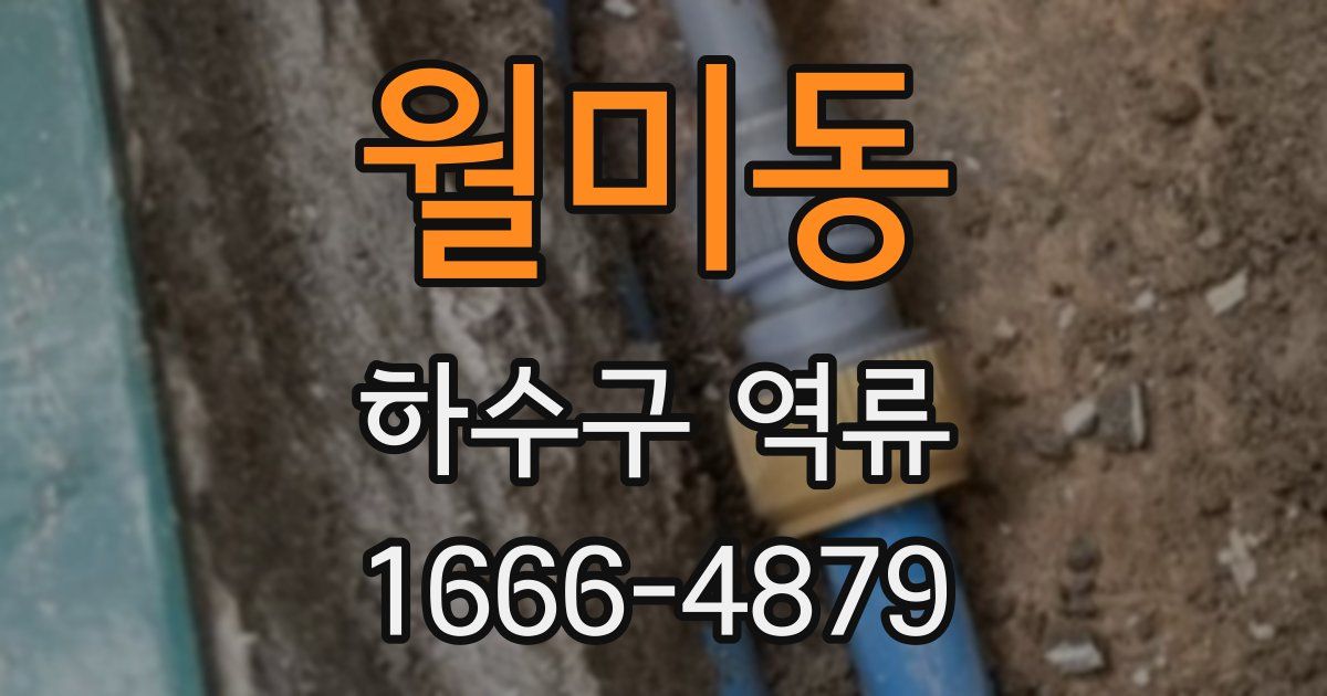 월미동 하수구 역류