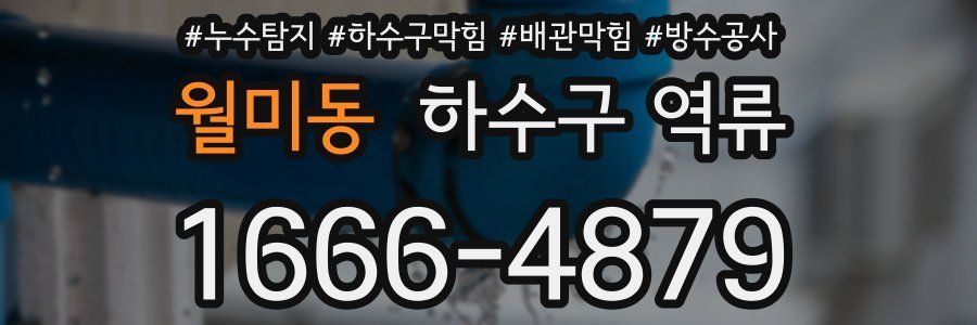 월미동 하수구 역류