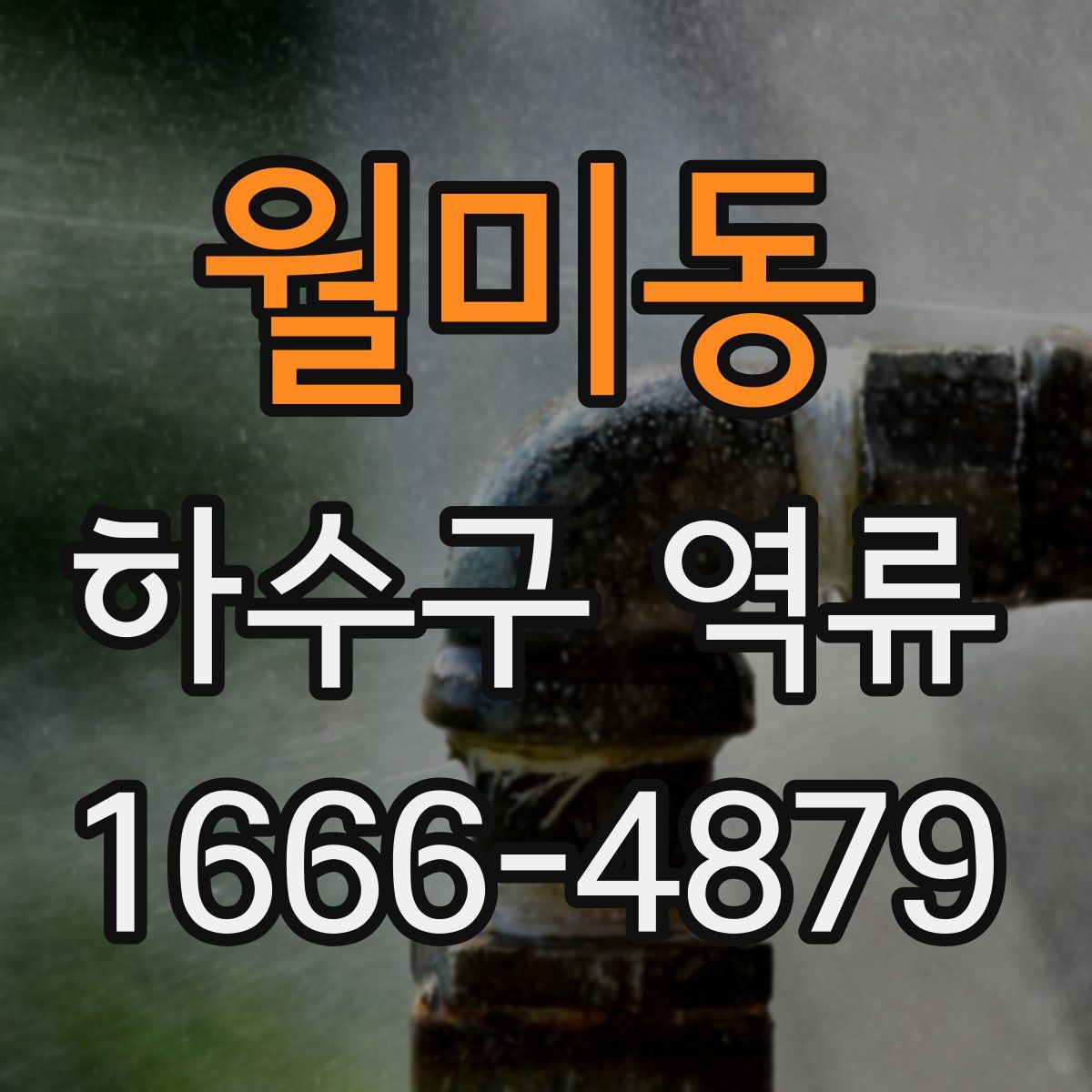 월미동 하수구 역류