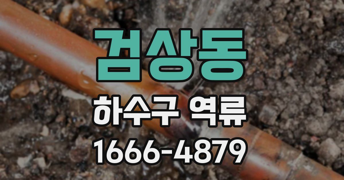 검상동 하수구 역류