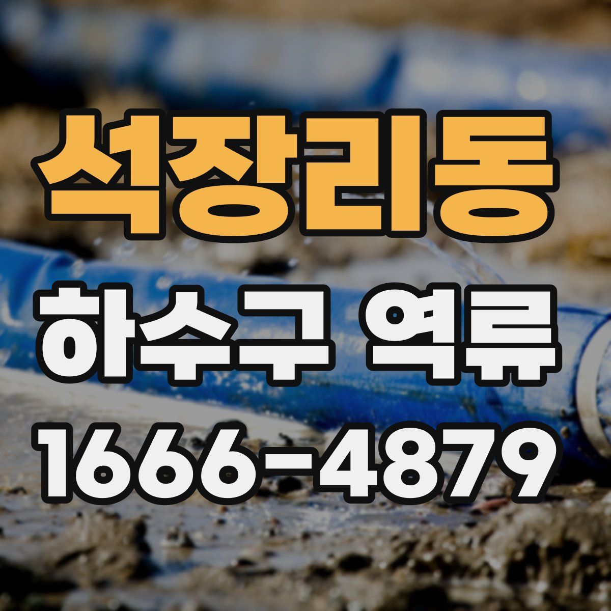 석장리동 하수구 역류