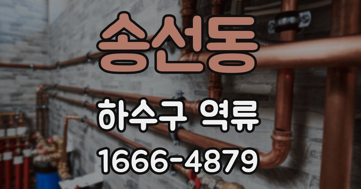 송선동 하수구 역류