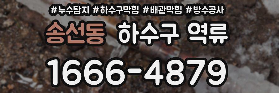 송선동 하수구 역류