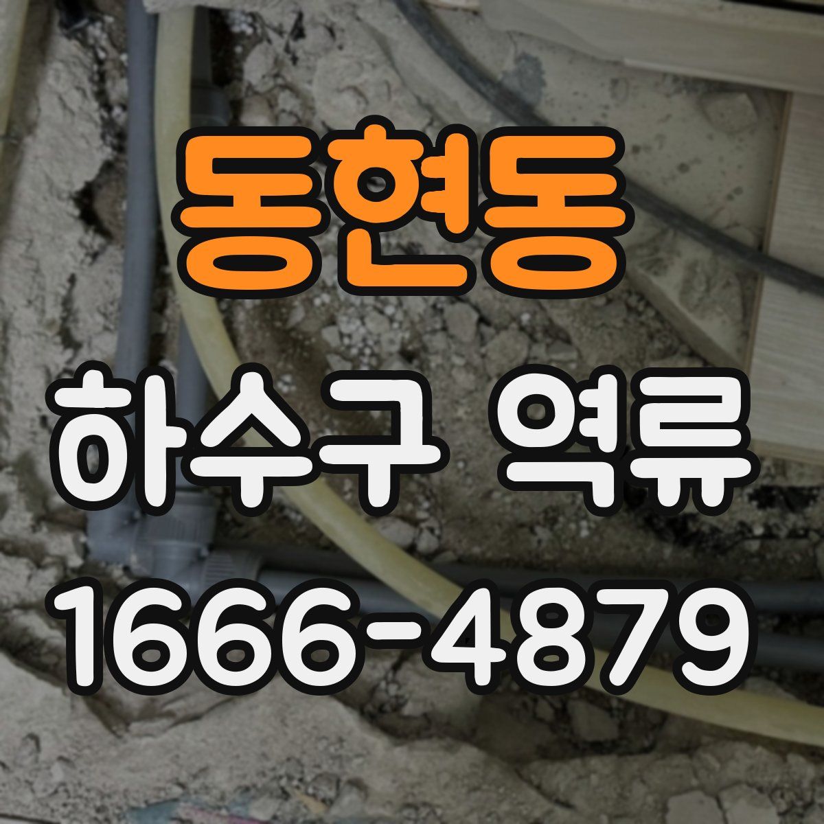 동현동 하수구 역류
