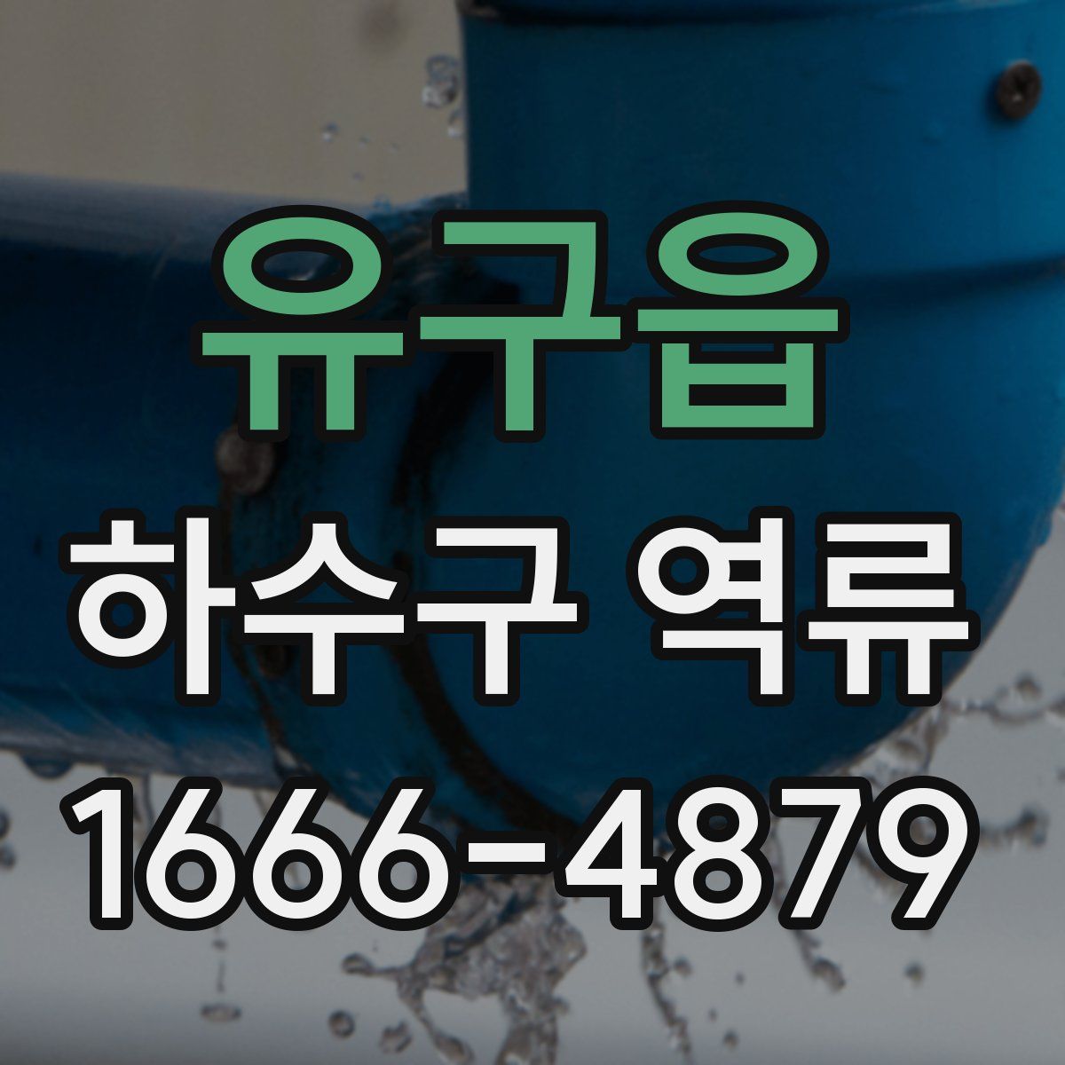 유구읍 하수구 역류