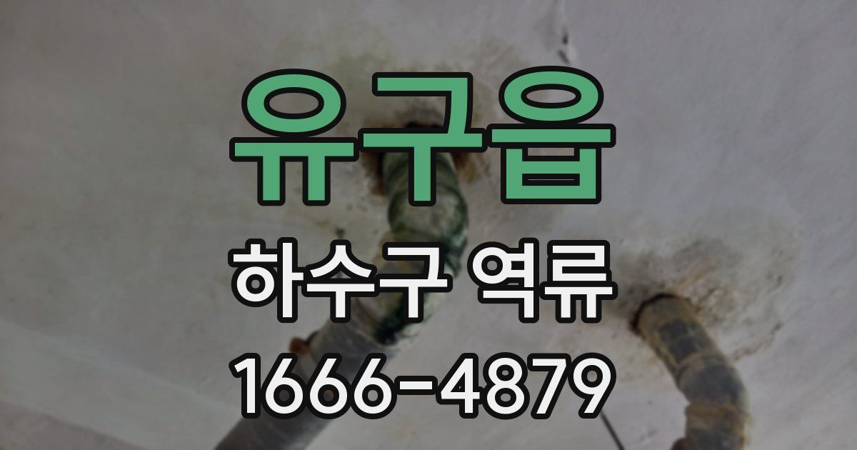 유구읍 하수구 역류