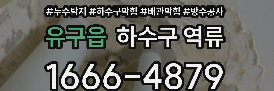 유구읍 하수구 역류