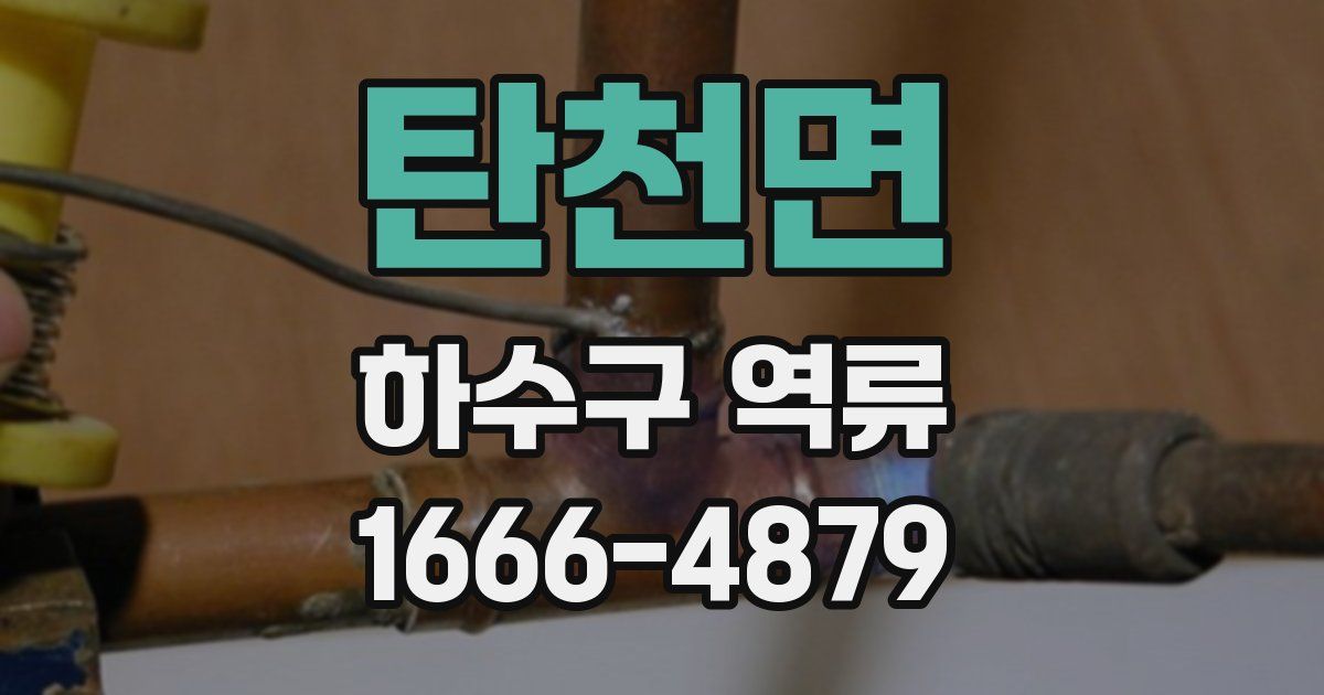 탄천면 하수구 역류