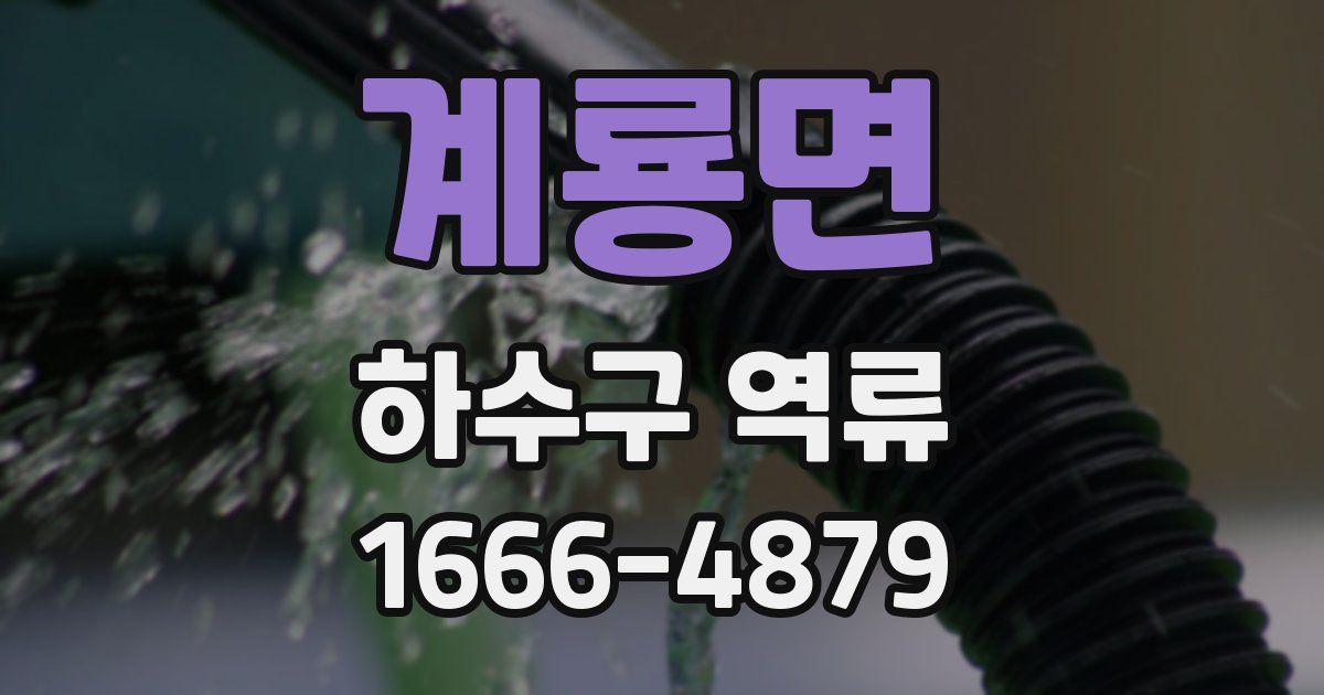 계룡면 하수구 역류