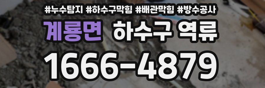 계룡면 하수구 역류