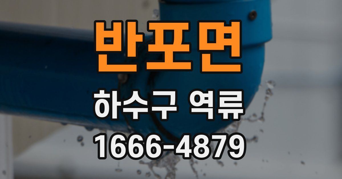 반포면 하수구 역류