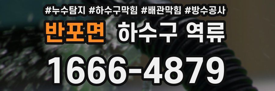 반포면 하수구 역류