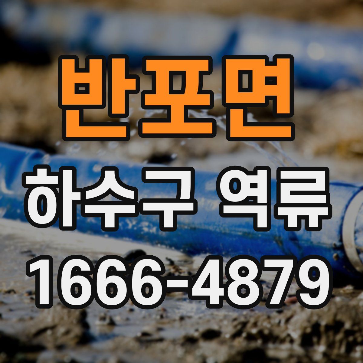 반포면 하수구 역류