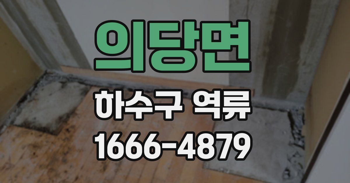 의당면 하수구 역류