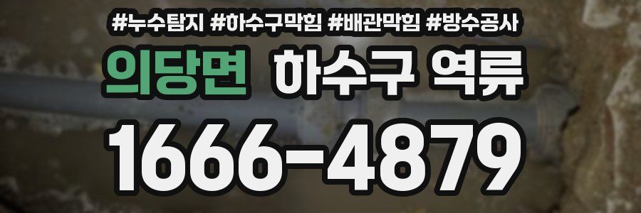 의당면 하수구 역류