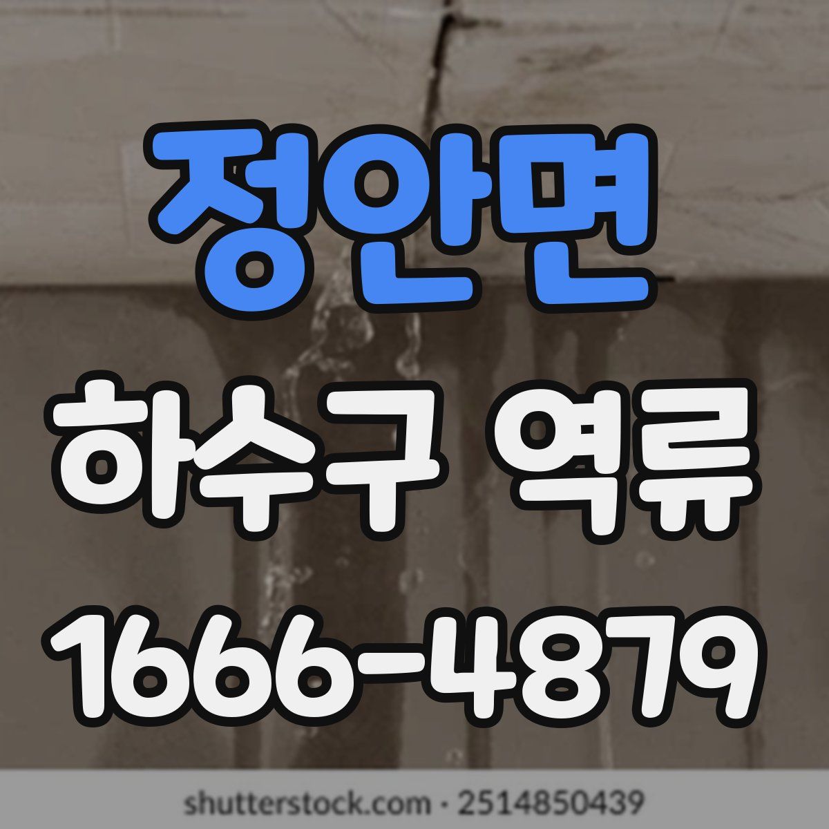 정안면 하수구 역류