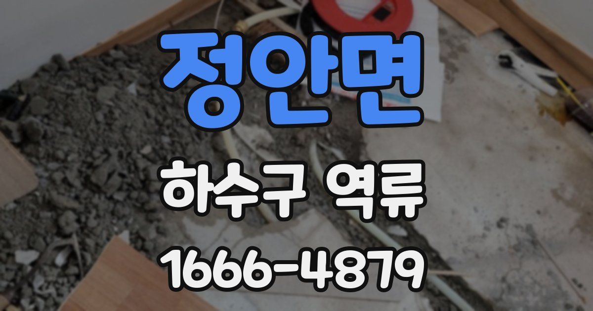 정안면 하수구 역류