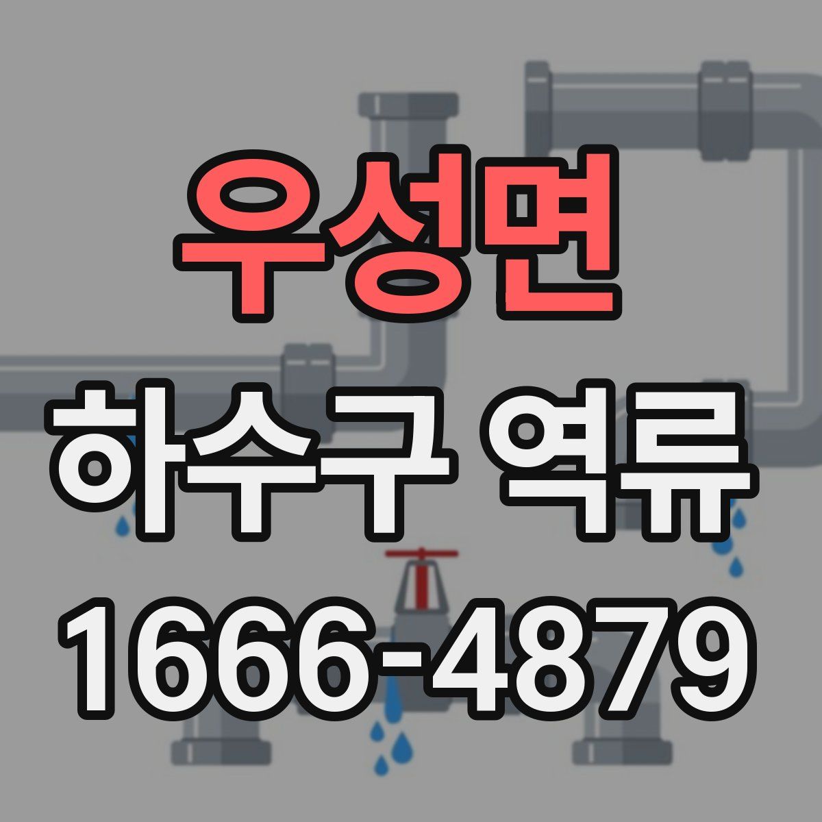 우성면 하수구 역류
