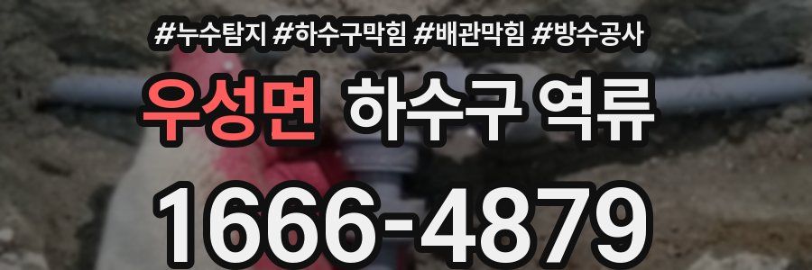 우성면 하수구 역류